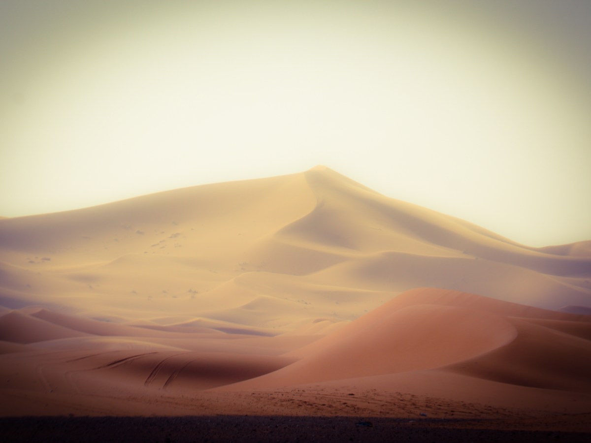 La Terra Promessa, un luogo della&nbsp;mente